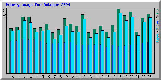 Hourly usage for October 2024
